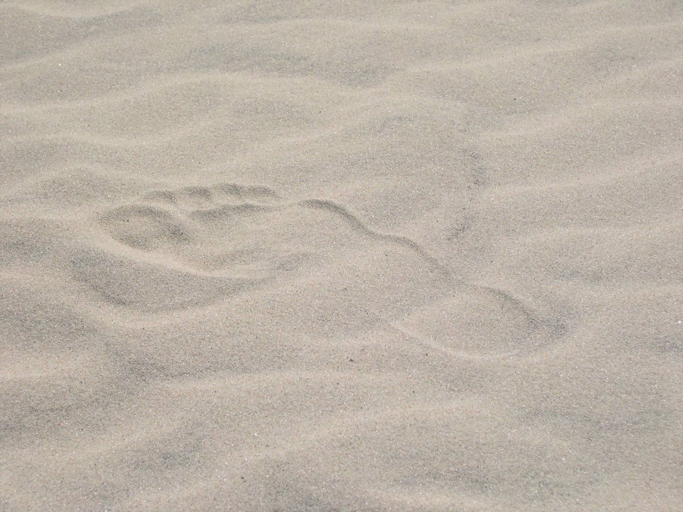 Fotavtrykk i sand