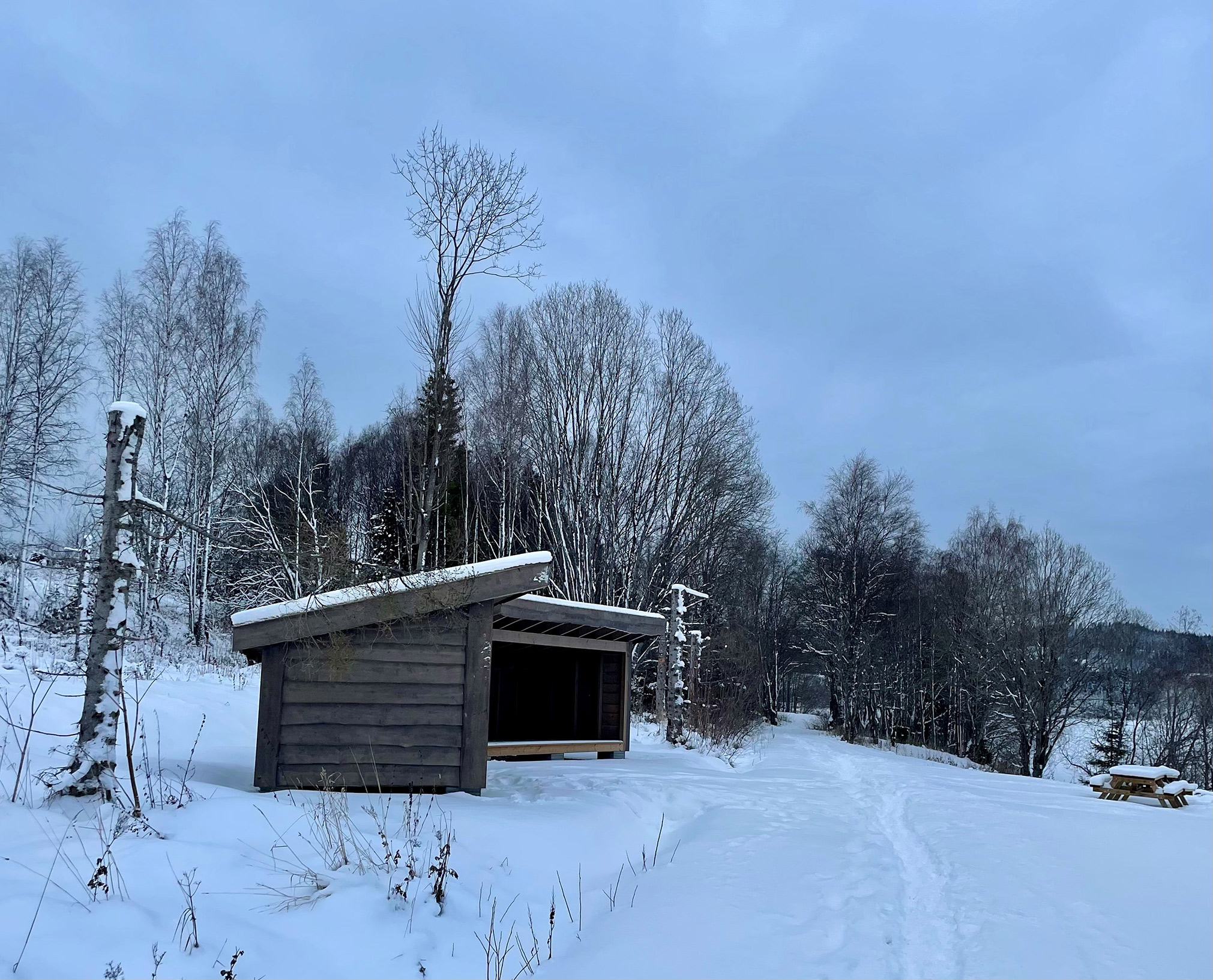 Gapahuker på Kråka