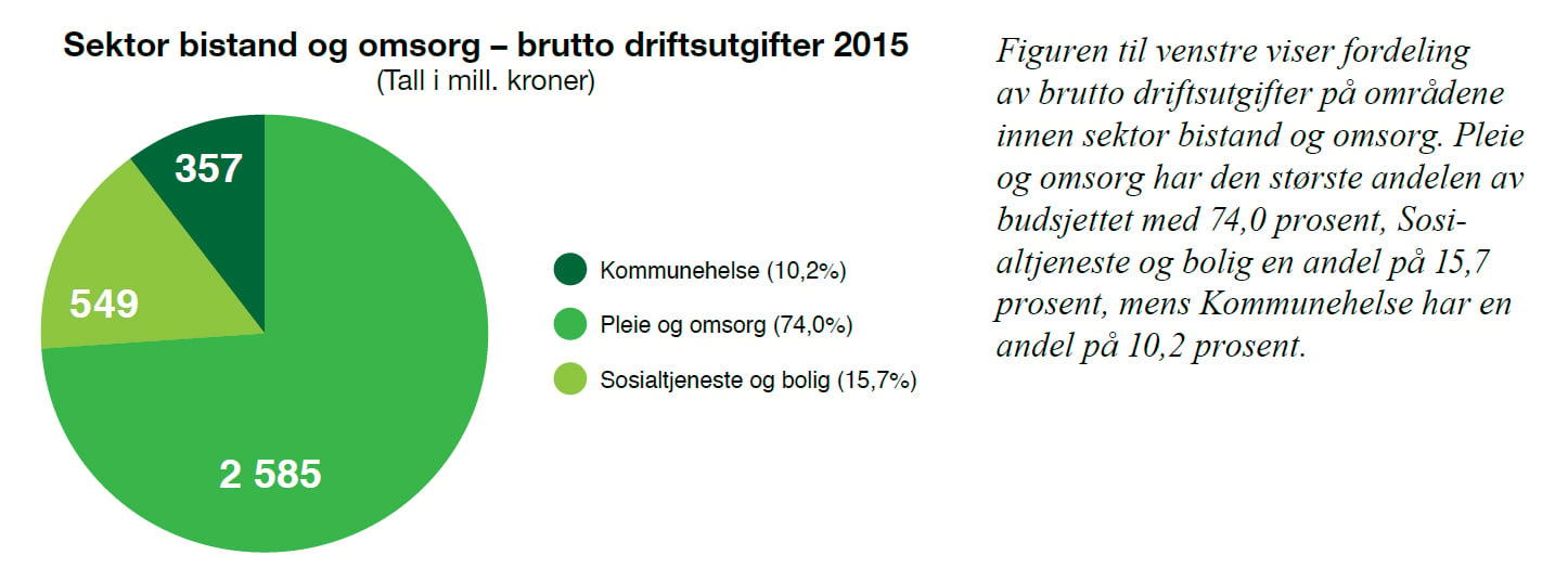 Bistand og omsorg diagram Brutto driftsutgifter