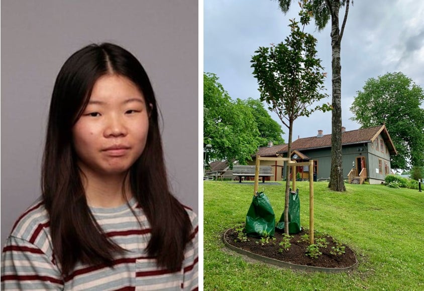 Johanne Zhangjia Ihle-Hansen