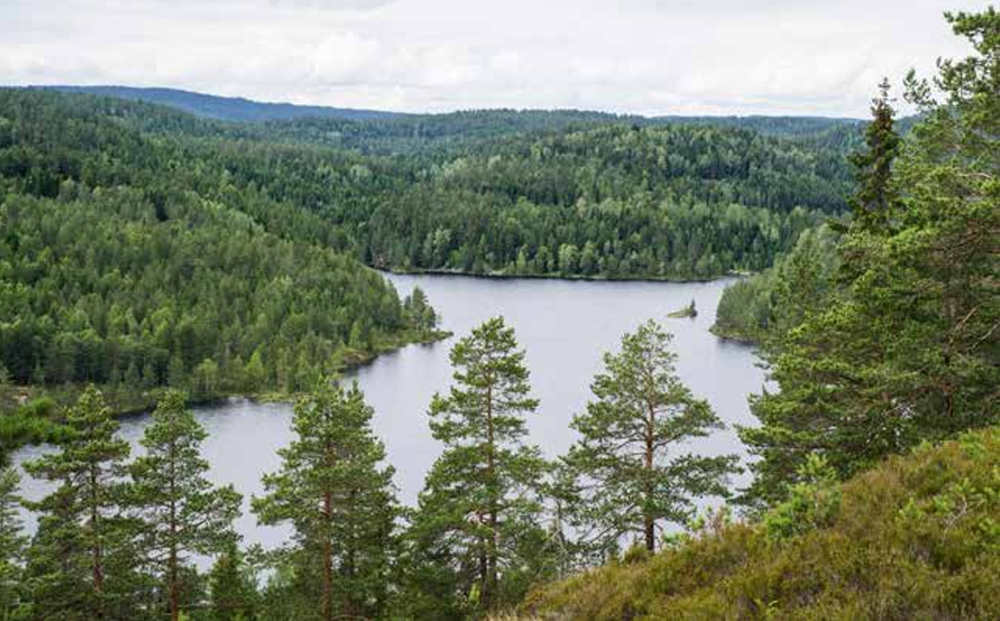 Oversiktsfoto av Aurevann