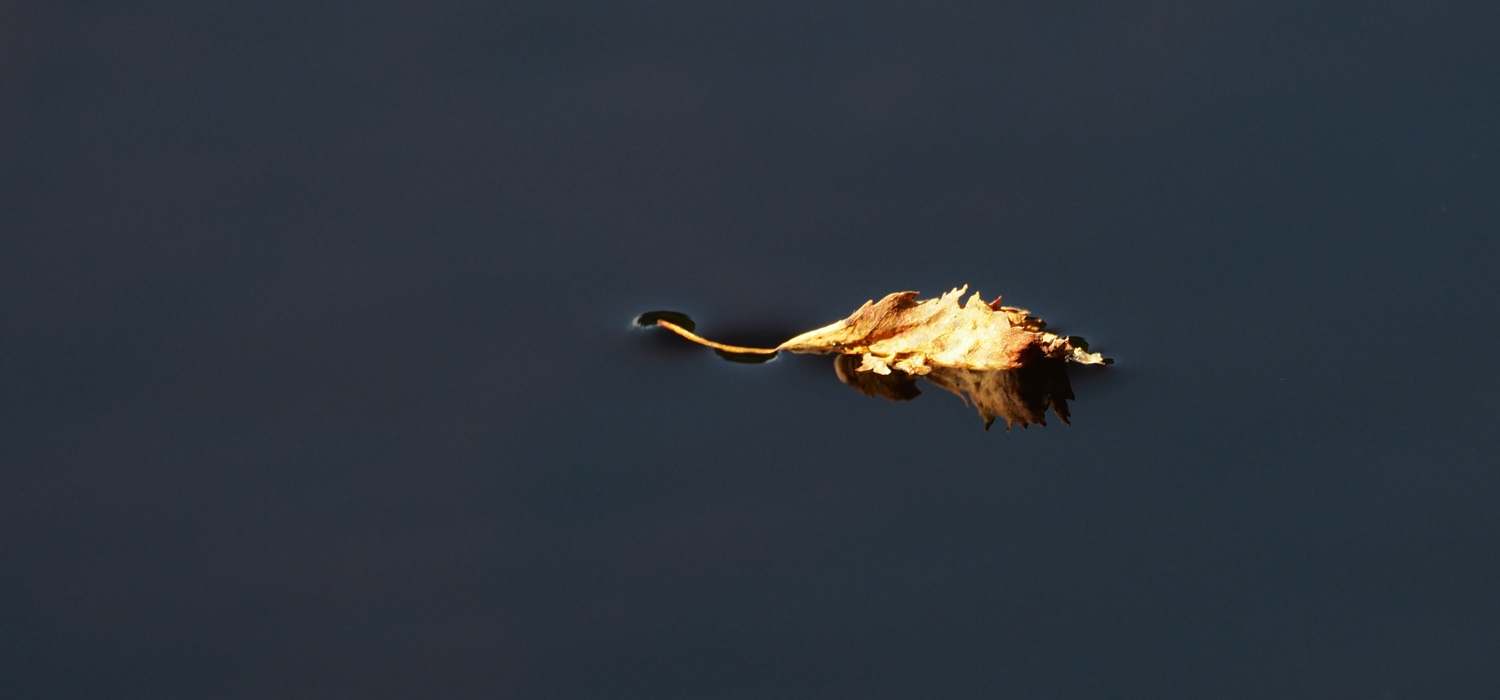 Bladets siste reise
