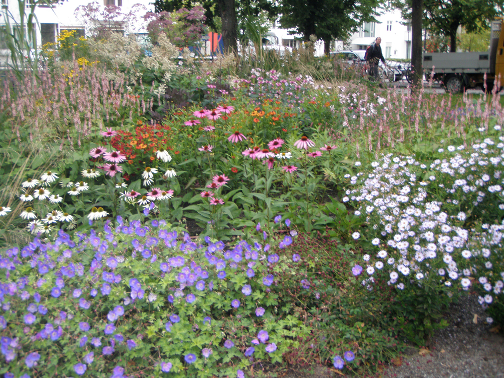 Baerum Gress () Baerum Gress