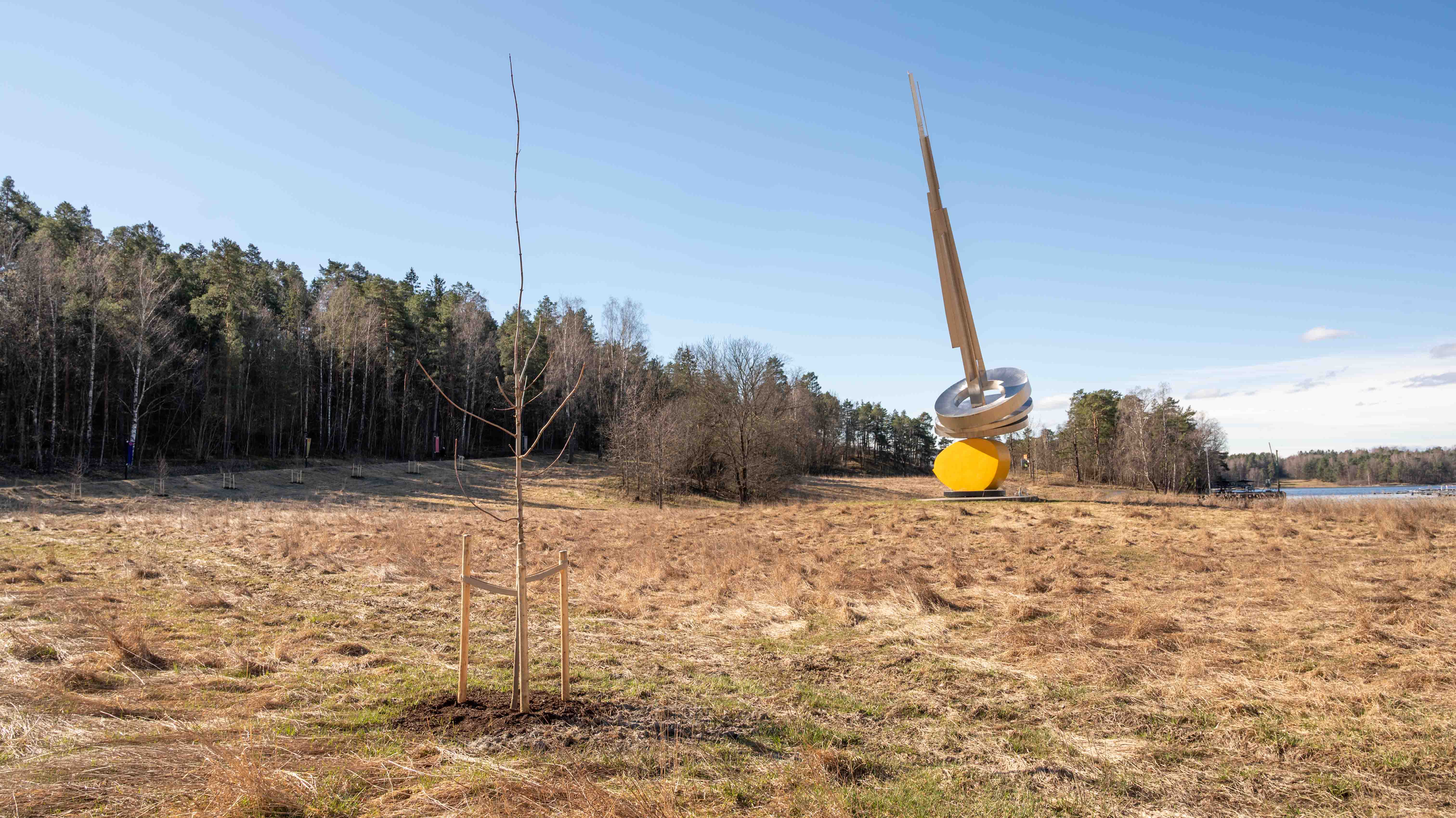 Lønnetreet er et vakkert tre med store blader og sterke høstfarger. Spisslønn er plantet i parker der mange ferdes, slik at flest mulig kan ha glede av dem, for eksempel Byparken i Sandvika og Høvikodden park. Bak i bildet kan du se at det er plantet en allé med syv hengebjørker. 