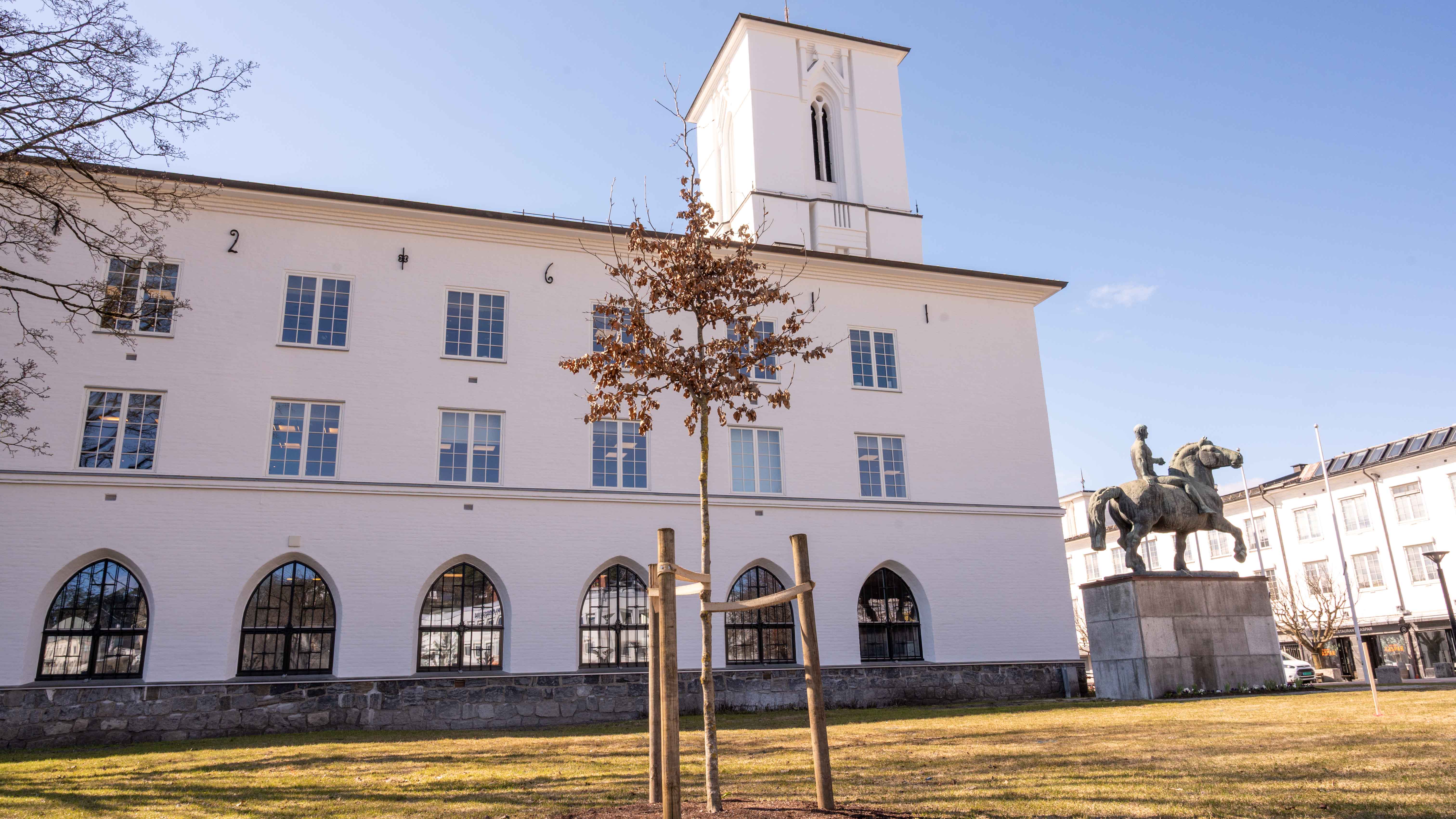 Blodbøken i Rådhusparken er først og fremst valgt ut som et blikkfang. Med sin dype, burgunderrøde farge vil den bli et spektakulært tre, og her har den fått god plass til å utvikle seg over tid.
