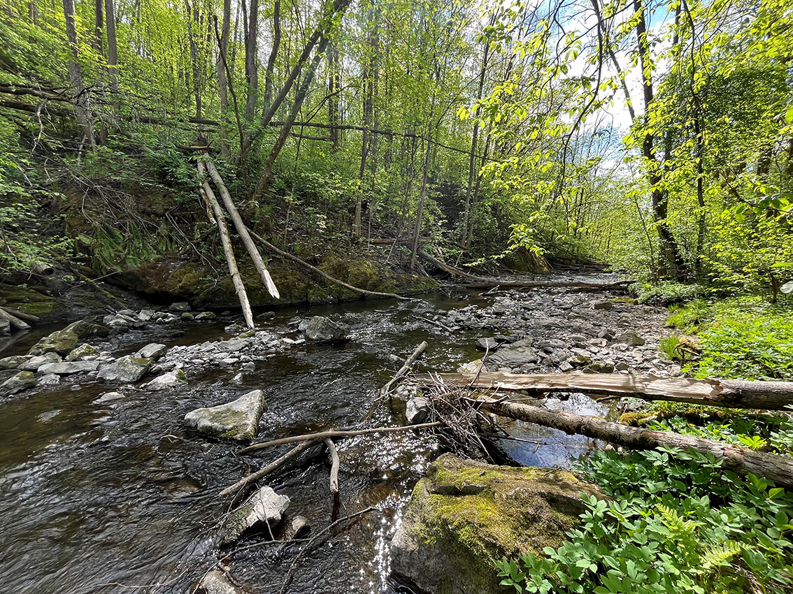 Sykling langs Øverlandselva 2