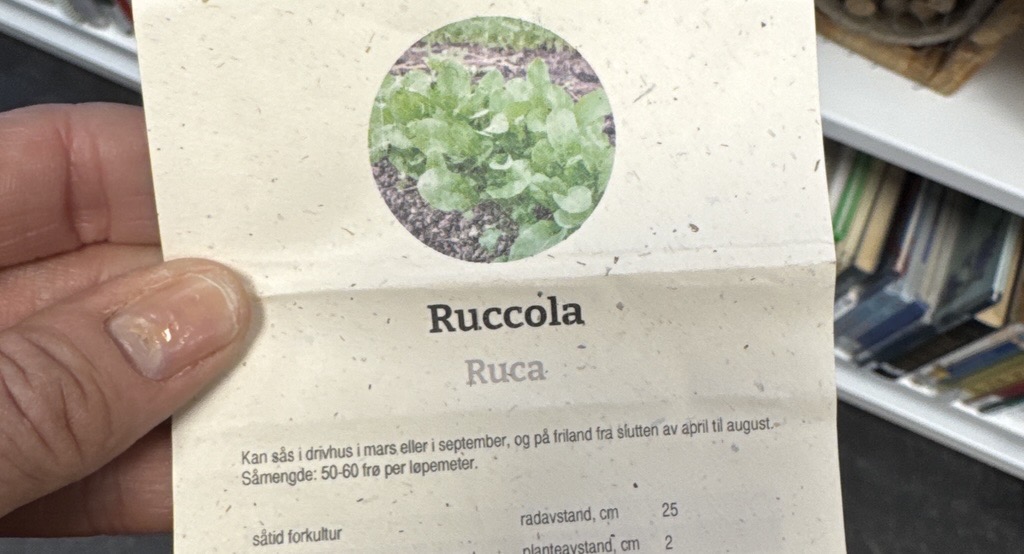 Pose - hvordan dyrke ruccula