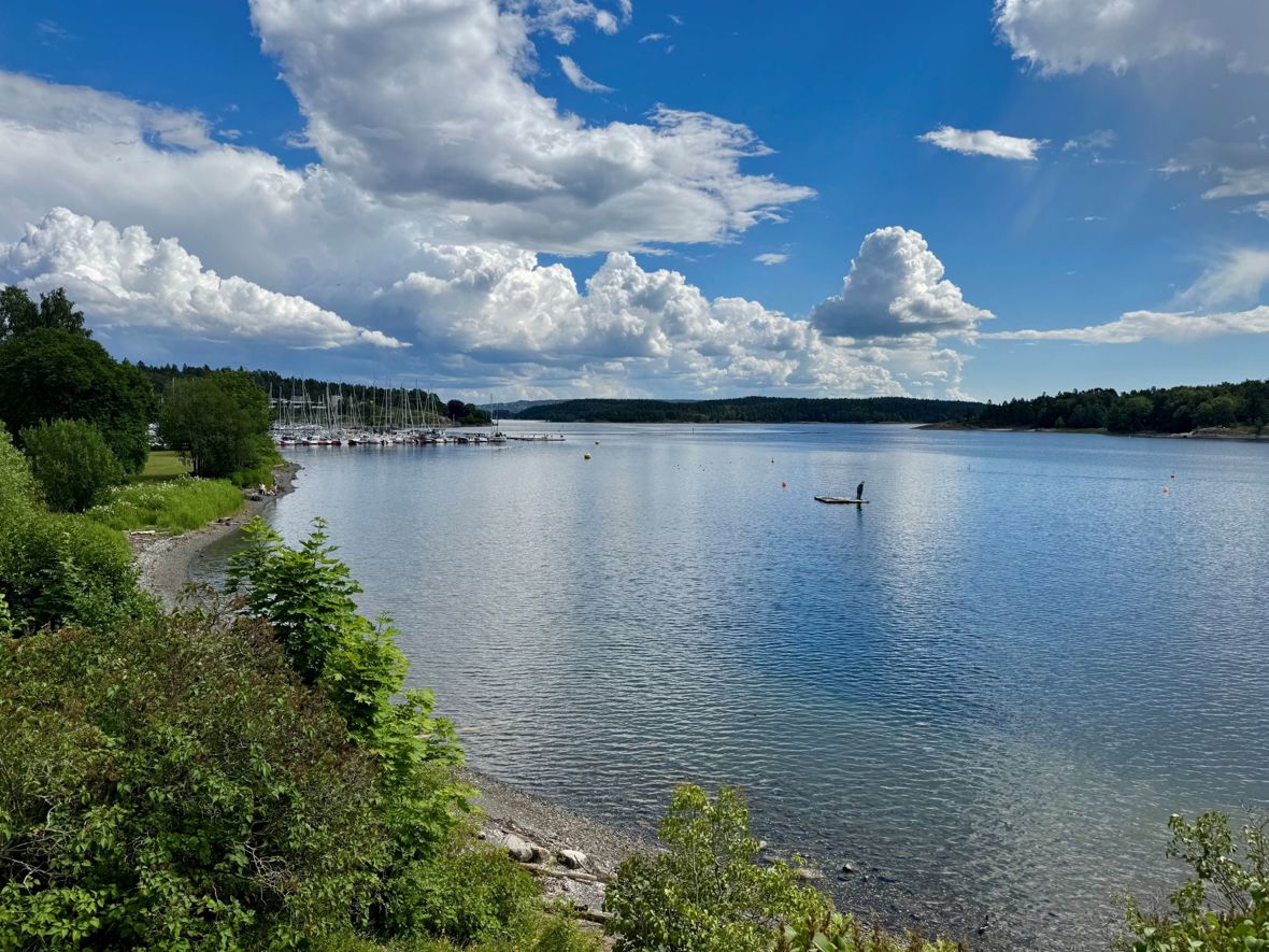 Kyststien mot Solvikbukta og Jason Taylors skulpturpark under vann.