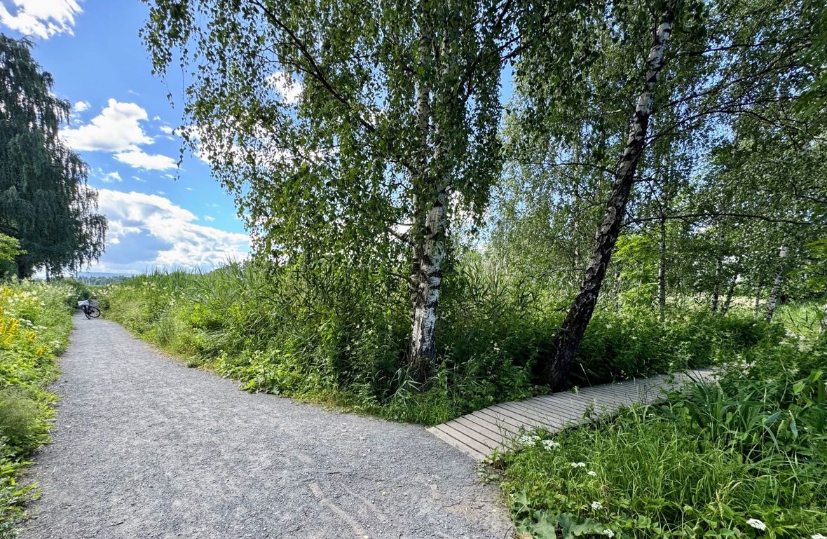 Innerst i Holtekilen kan du fortsette på sti utover mot Oksenøya og Storøyodden.