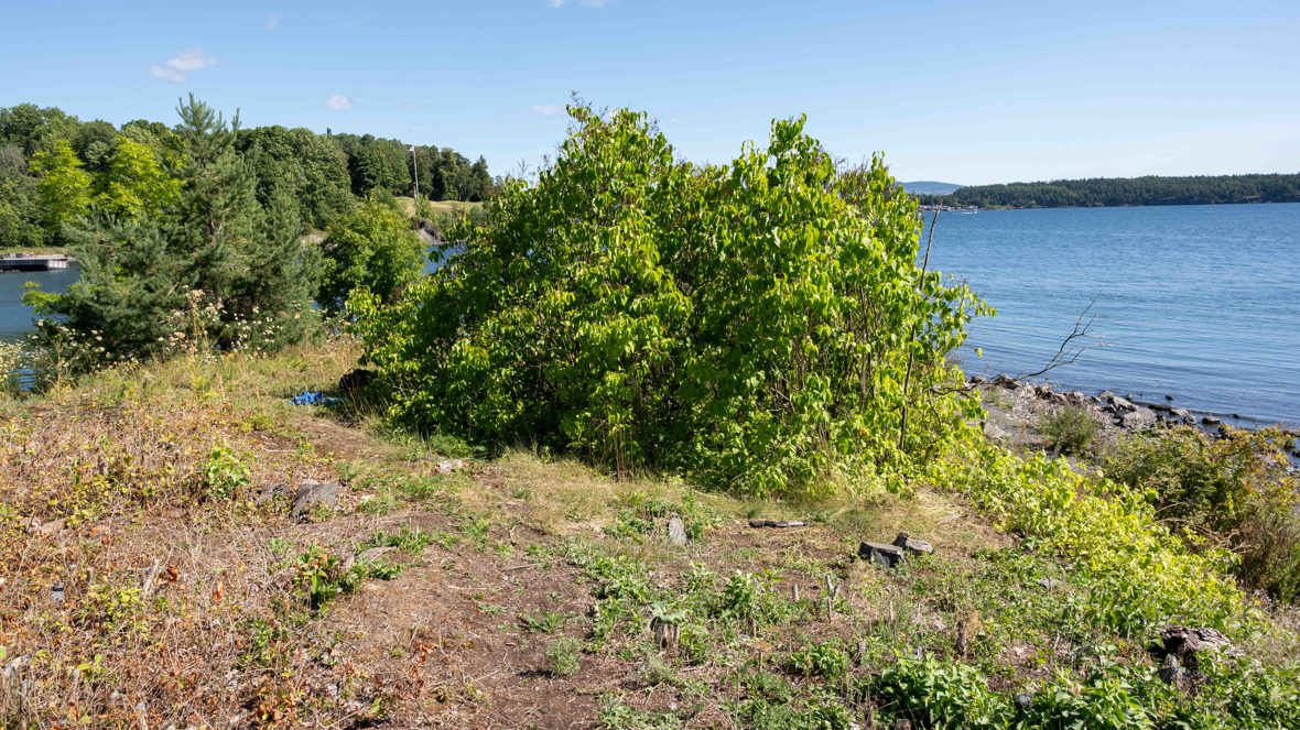 Denne kollen på Smedtangen var tidligere full av syriner. Arbeidet med å fjerne dem, har pågått over flere år. I år håper teamet å gjøre seg ferdige med den siste resten, som ses på bildet.  
