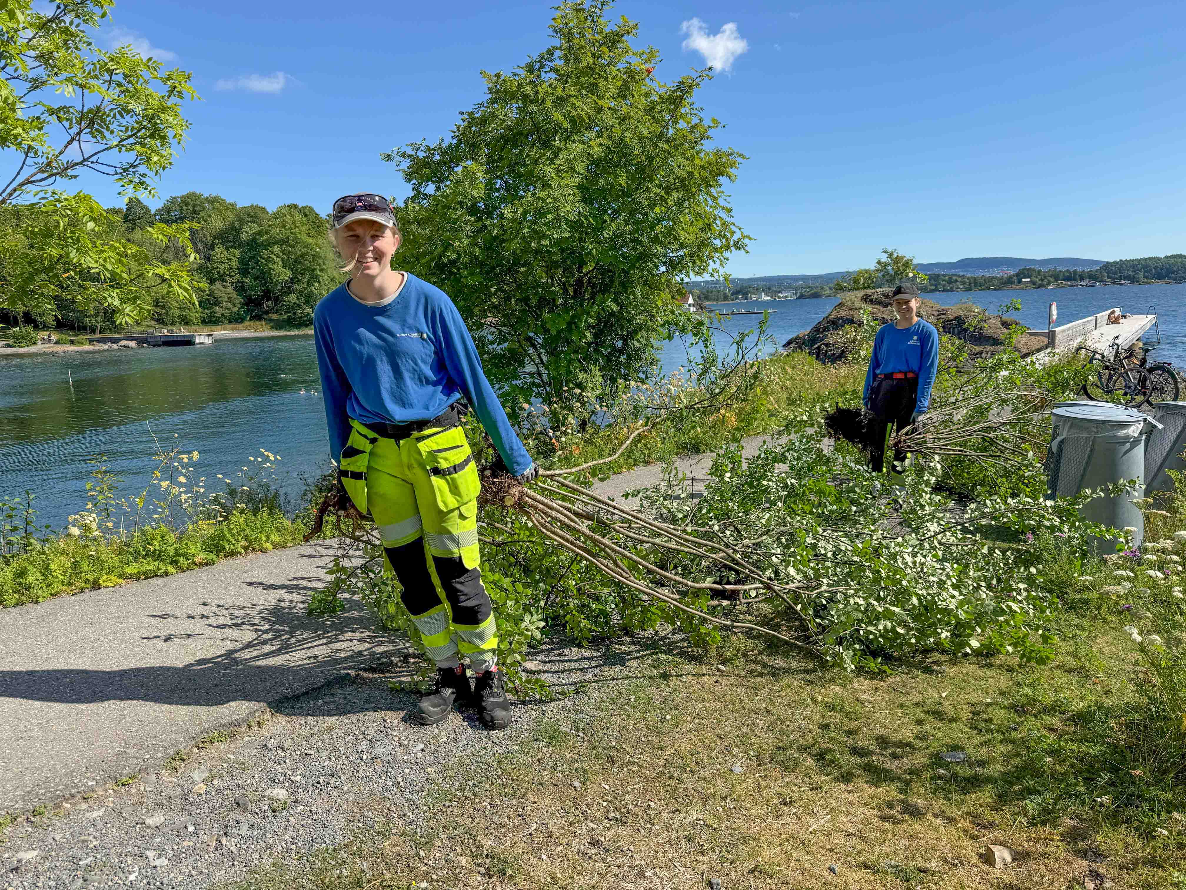 Marie og Anniken lemper mispelbusker inn i bagasjerommet, oppå dagens fangst av syriner. 