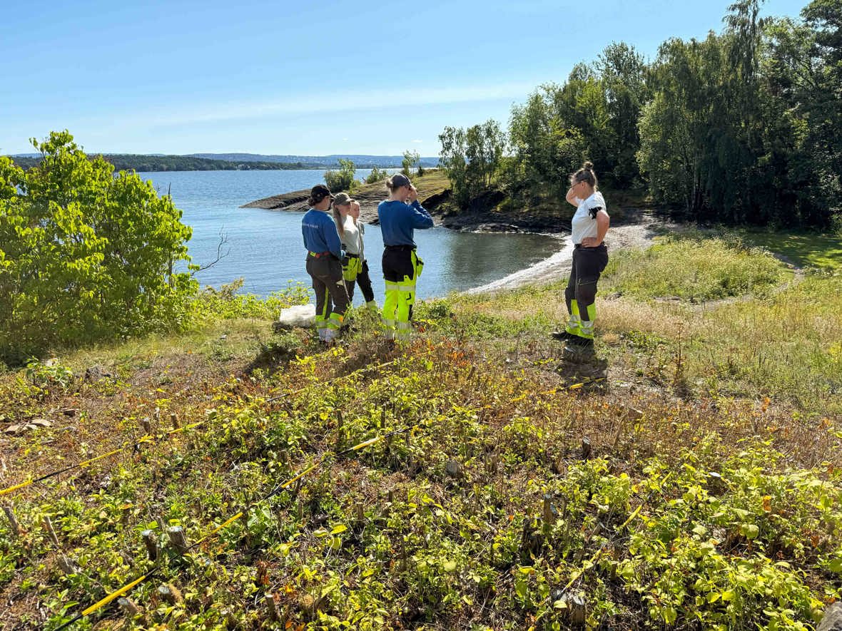 Hver sommer bekjemper Joran fremmede arter langs kyst og vassdrag i Bærum. Sammen med fire sommerengasjerte og en kollega fra Natur og vannmiljø er hun daglig ute i felt fra juni til september. Arbeidet finansieres med midler fra natursatsordningen til Miljødirektoratet. 