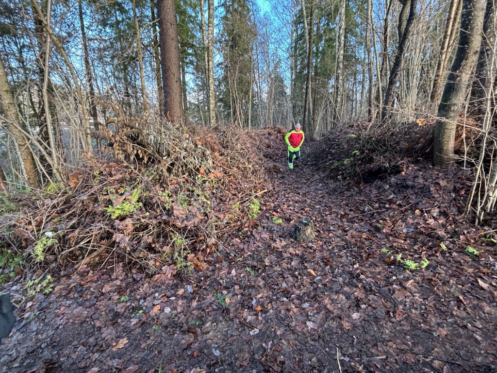 I høst oppdaget tre- og naturforvalterne i Bærum kommune de største områdene med dumpet hageavfall som de noensinne har sett, på et friområde med den rødlistede naturtypen «frisk lågurtedelløvskog». Området ligger mellom Emil Stangs vei og Gjettumstien.