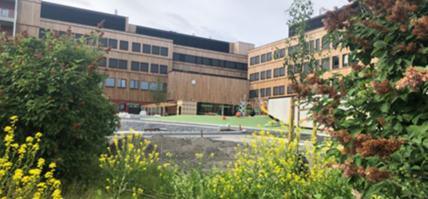 Oksenøya skole