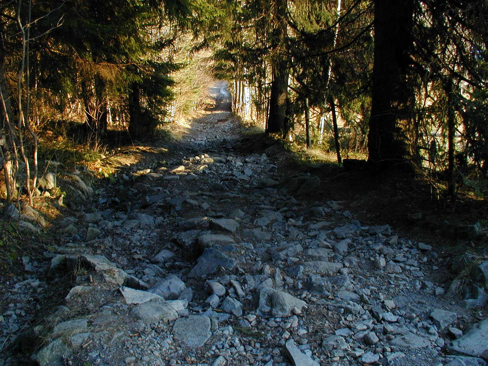 Foto: Bildearkiv/Kulturvern/Veier/Ankerveien 26.11.01/øst fra saghytta3 Ankerveien mot Bakke bru er slitt ned til bærelaget og trenger istandsetting.