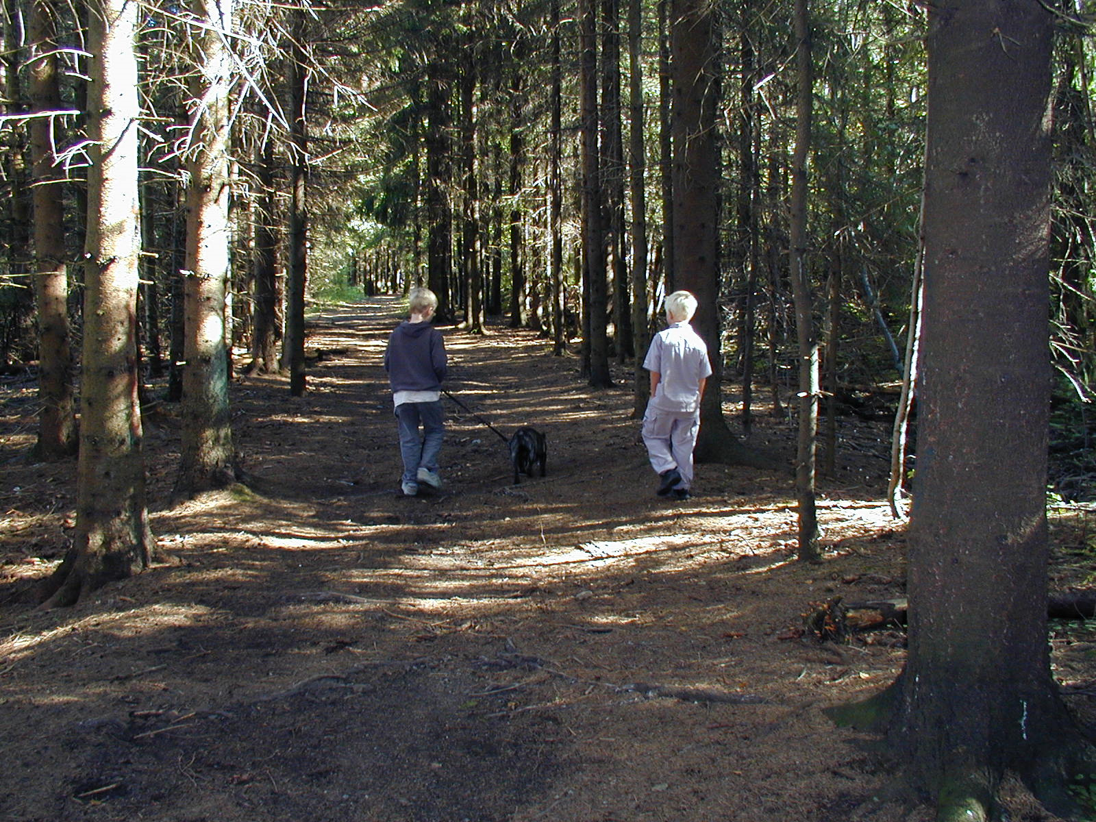 Turgåere opp fra Guldbrandslia BildearkivNILK/kulturvern/veier/ankerveien/P9120570