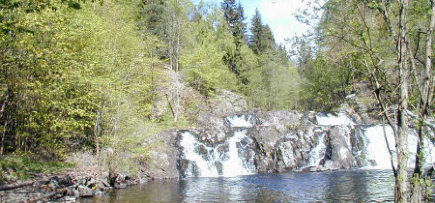 Jar sag og mølle