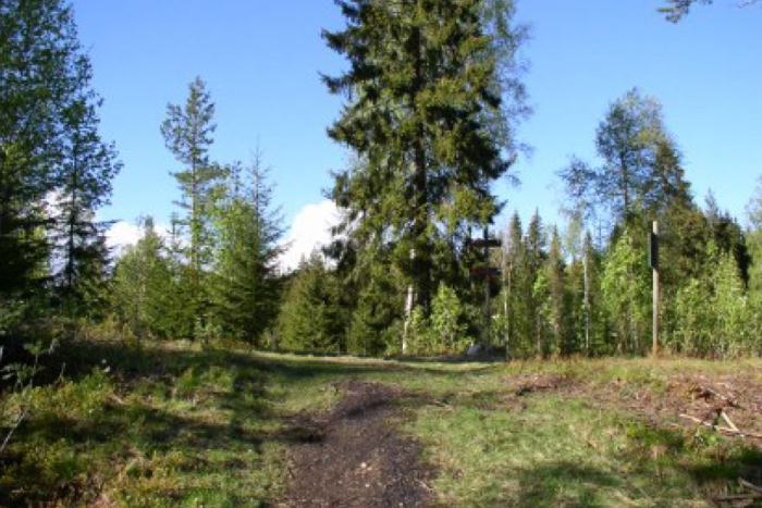 Kølabonner