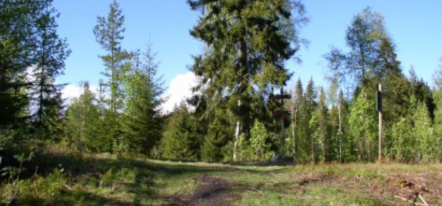 Kølabonner