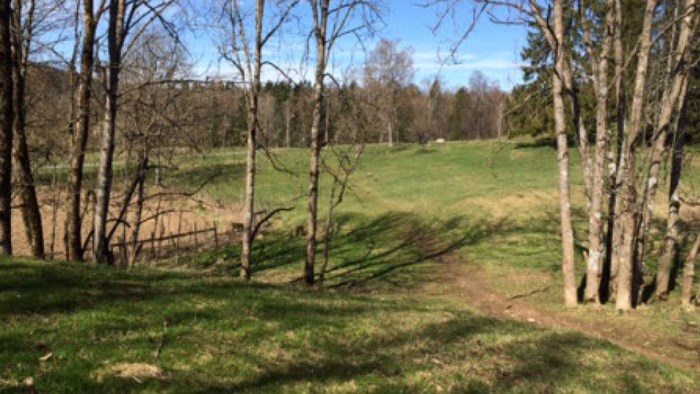  Sauejordet
