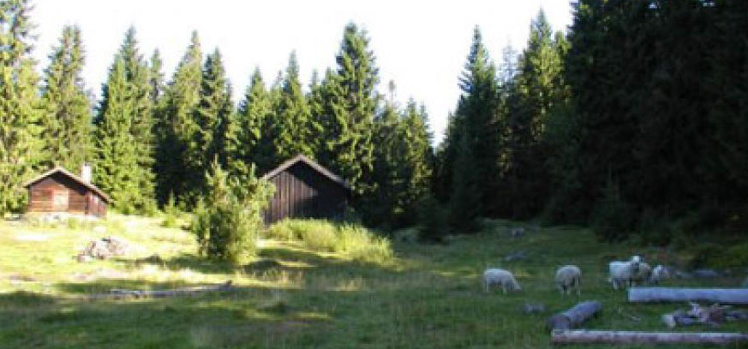Stovivollen