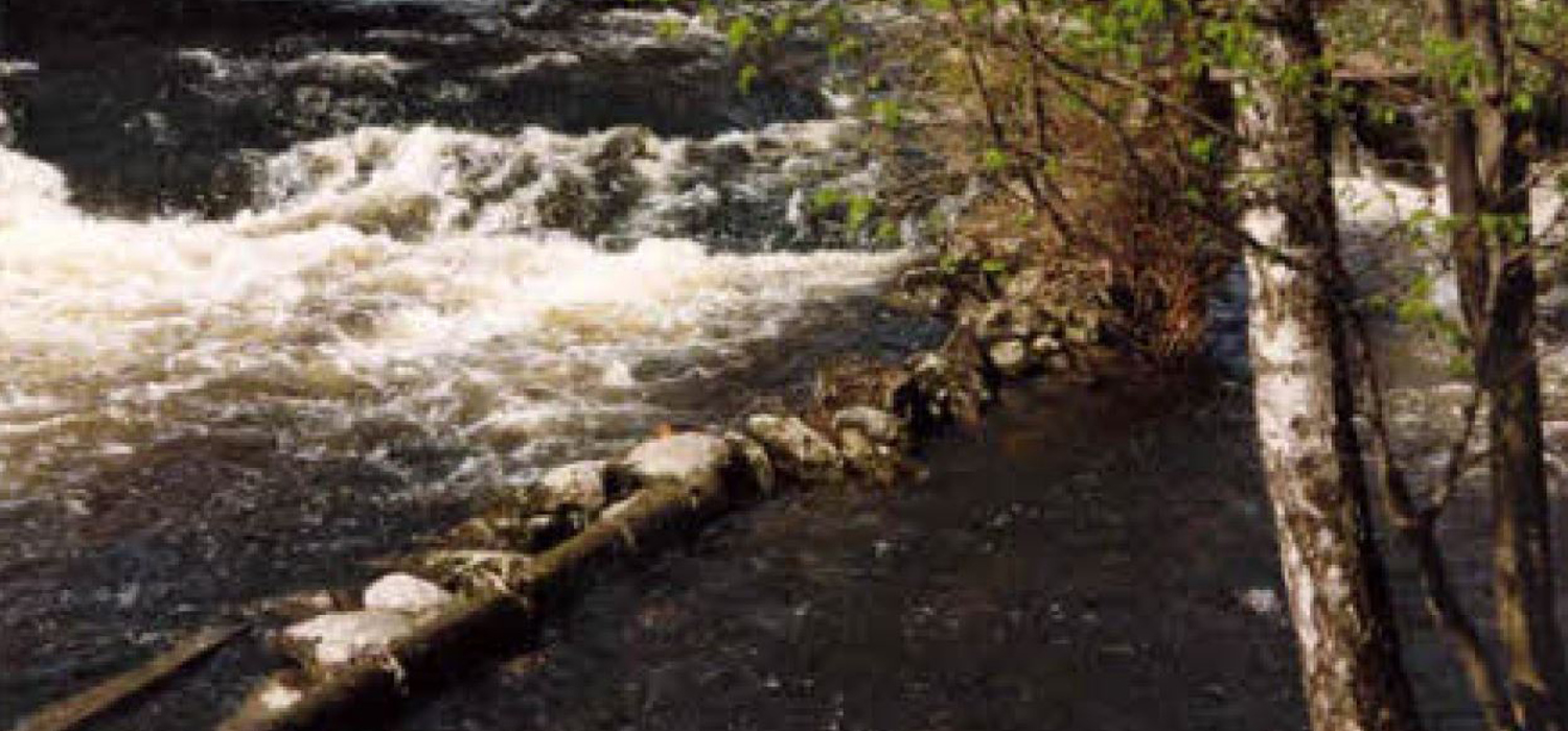 Teinestedet
