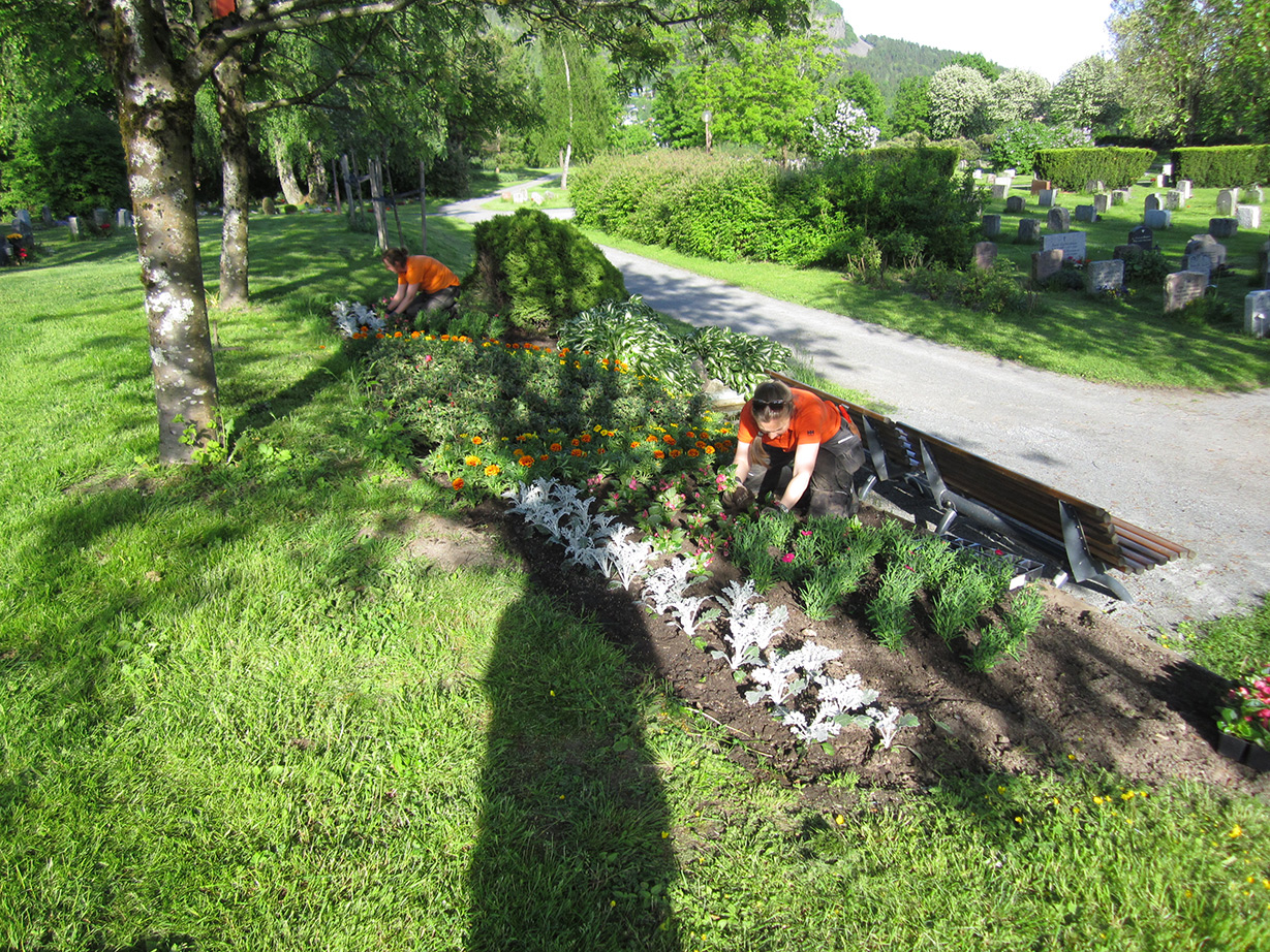 Ønsker du sommerjobb på en av gravplassene våre? 