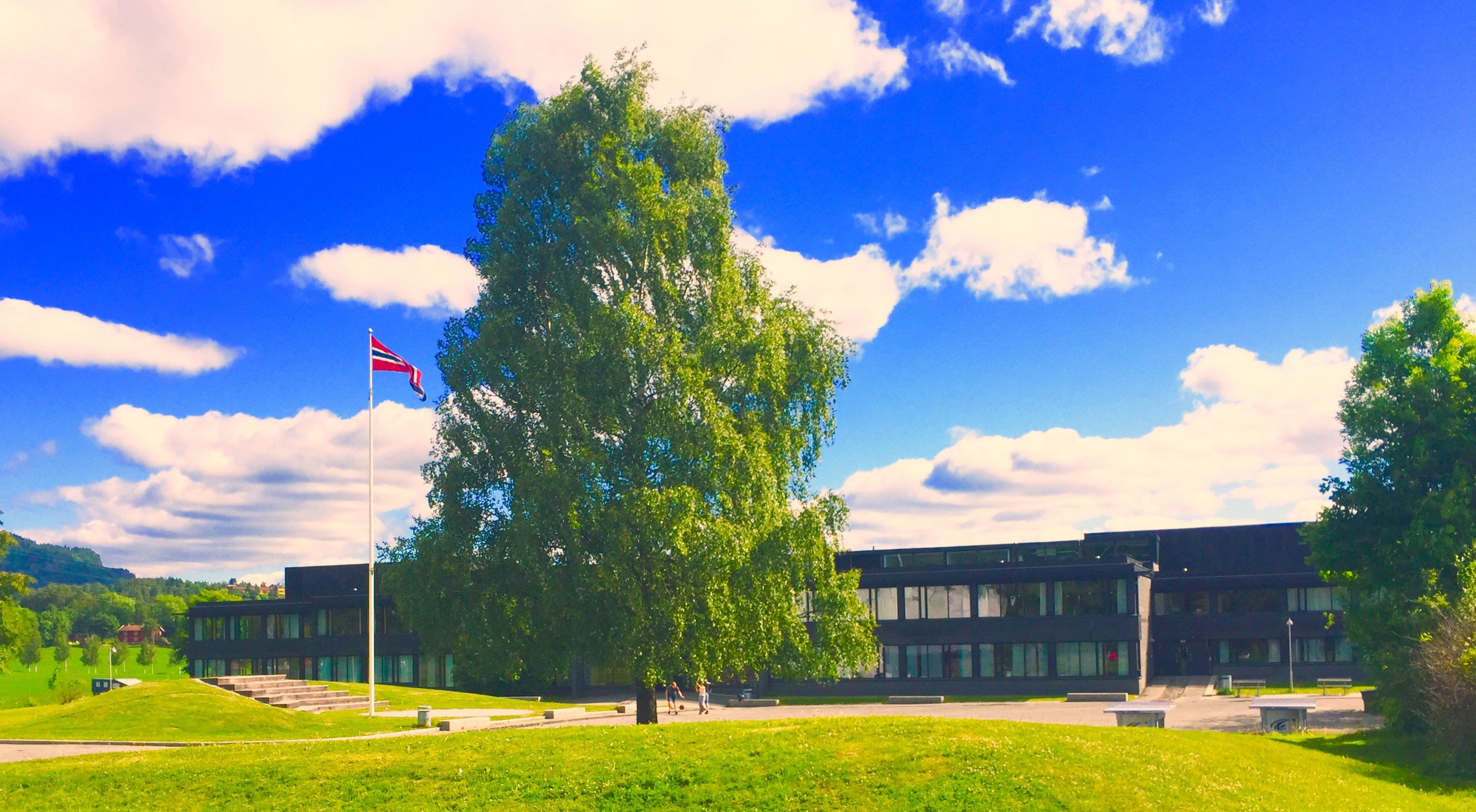 Bjørnegård ungdomsskole