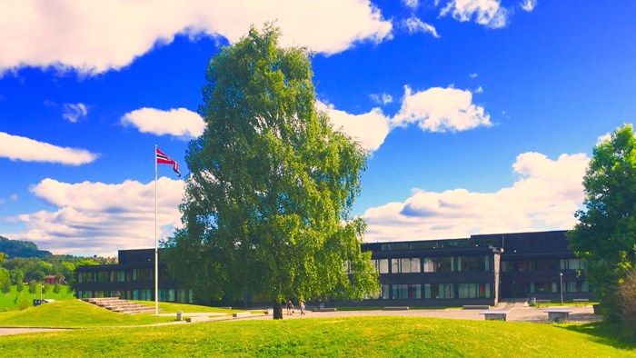 Bjørnegård skole