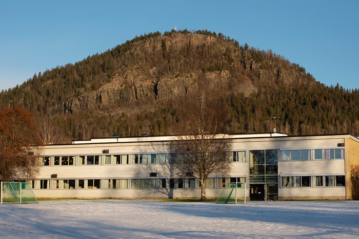 Skole