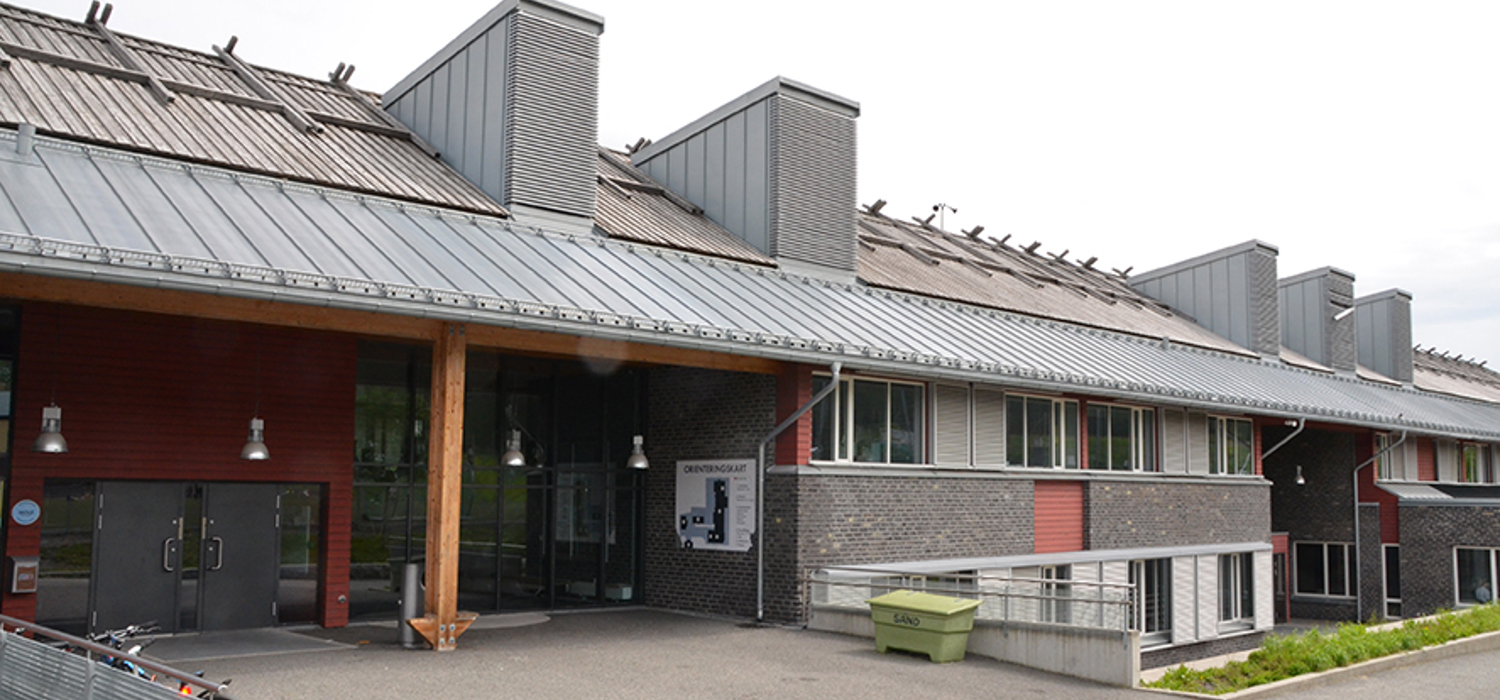 Lommedalen skole