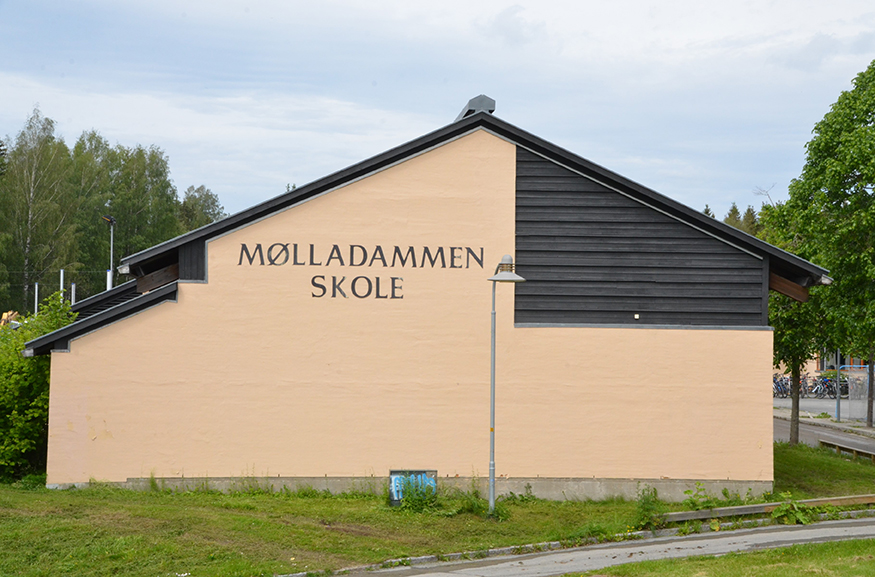 Mølladammen skole