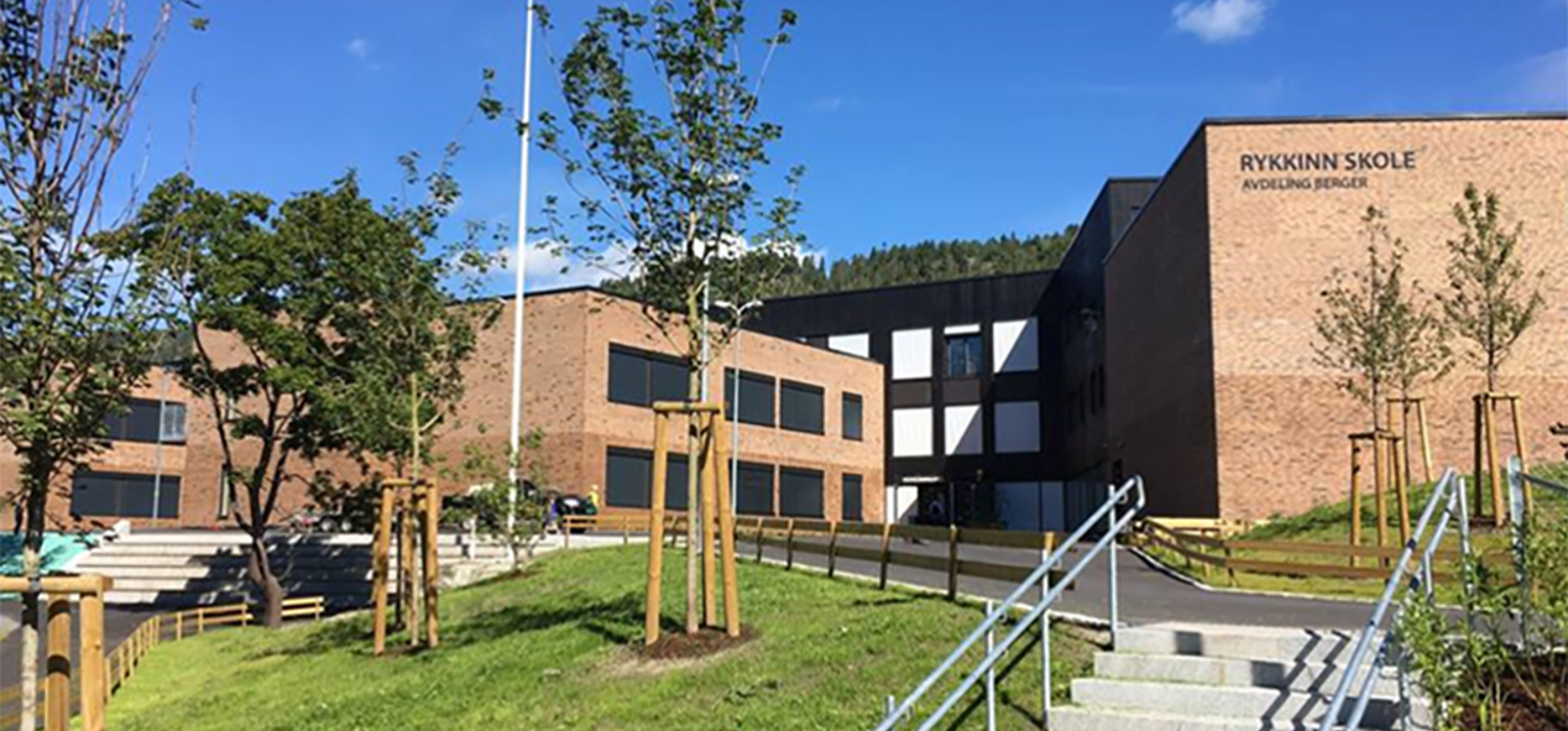 Rykkinn skole