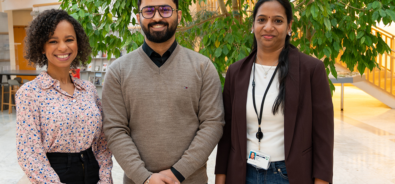 Traineeprogram - Bærum kommune