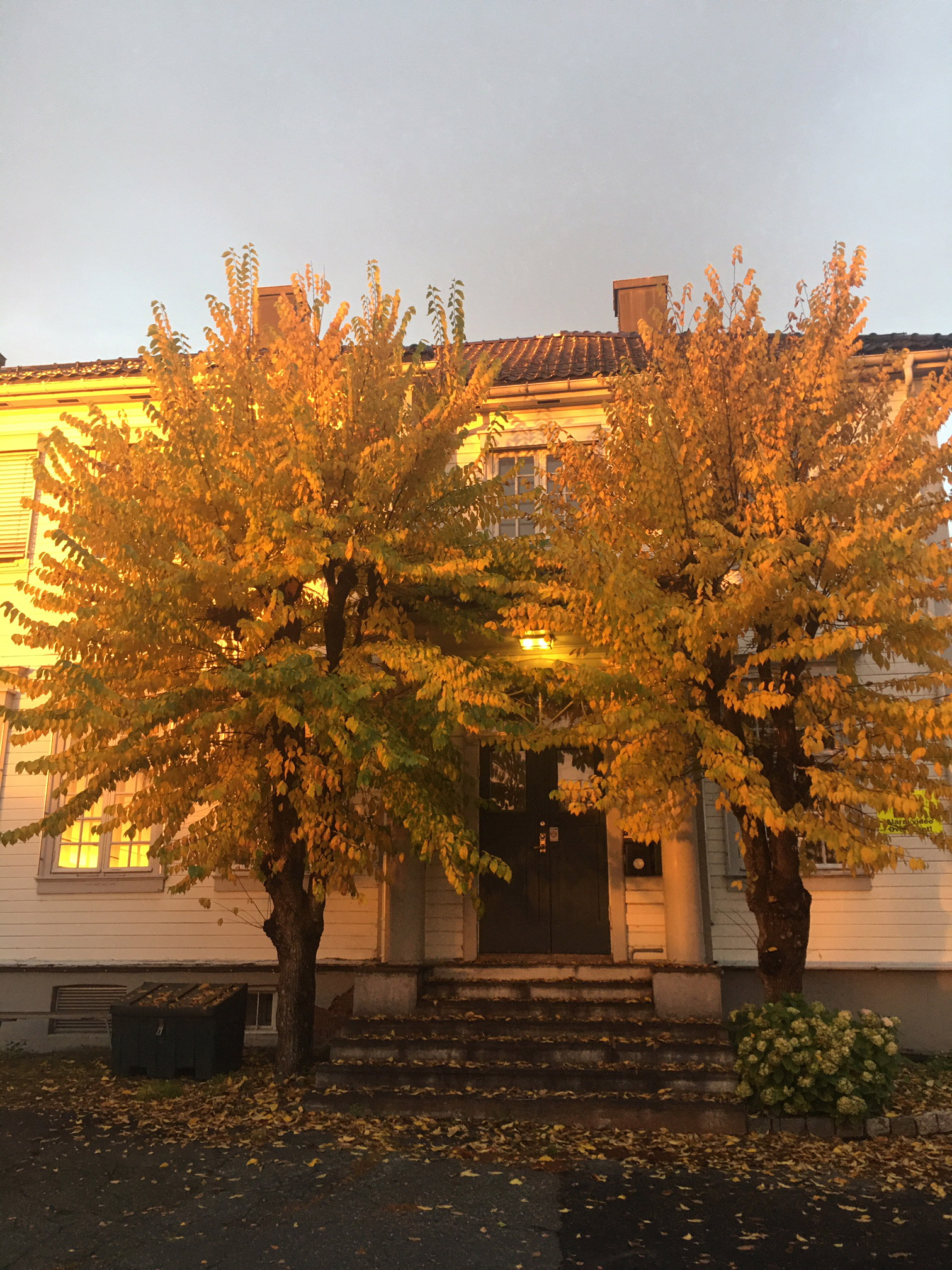 Gyssestad gård i høstfarger bilde tatt på framsiden