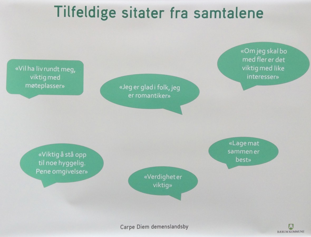 Kartlegging av brukernes behov - sitater