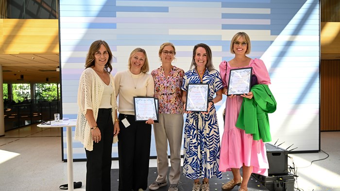 Presentasjon av innovasjonsprisene