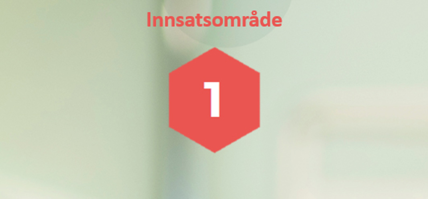 innsatsområdet 1