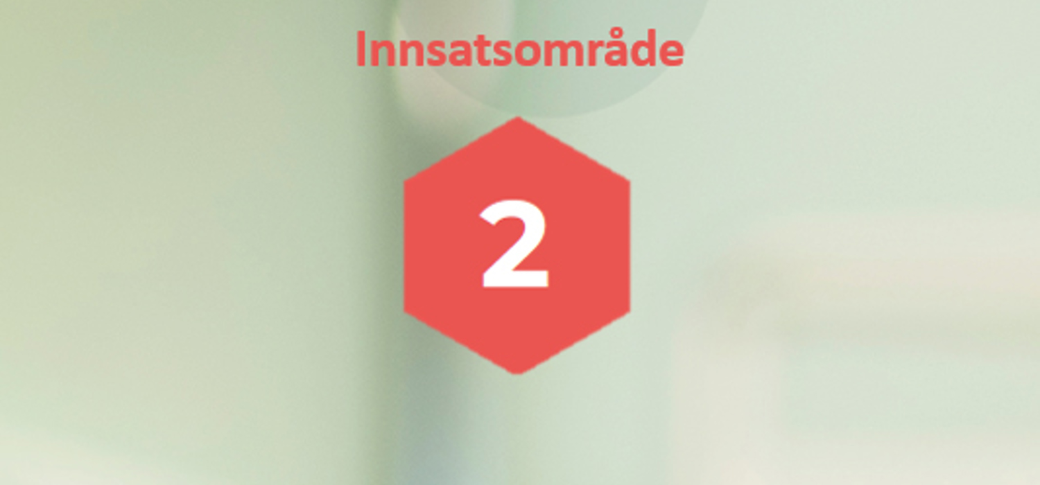 Innsatsområdet 2