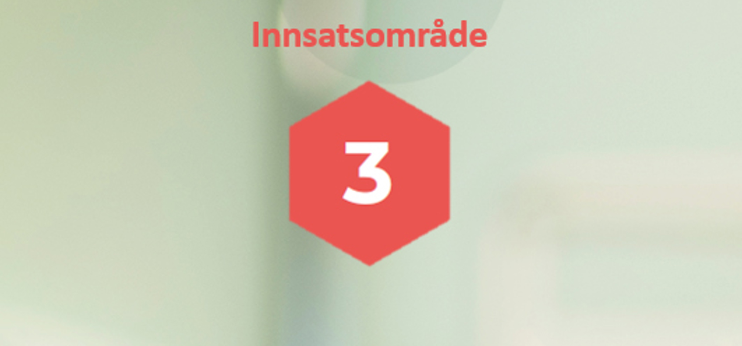 Innsatsområdet 3