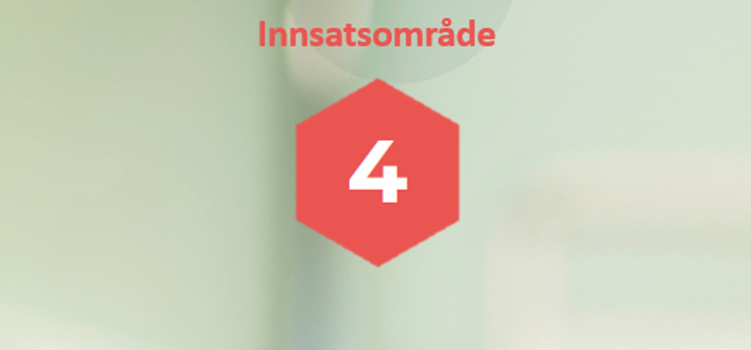Innsatsområdet 4