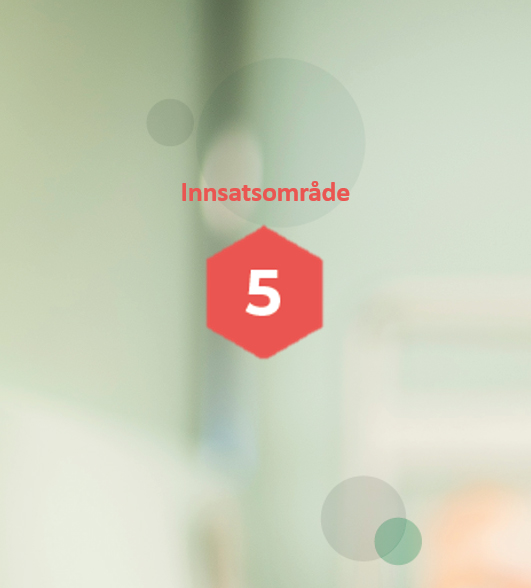 Innsatsområdet 5