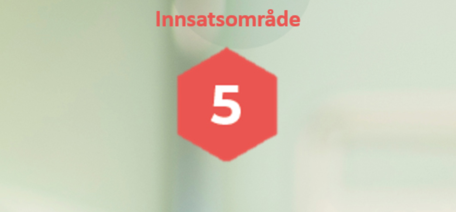 Innsatsområdet 5