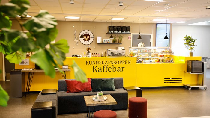 Kunnskapskoppen i Kunnskapssenteret Sandvika, Bærum