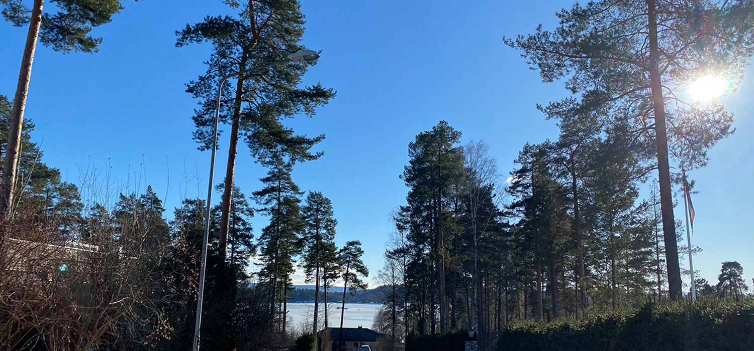 Bilder fra Plahteskogen.