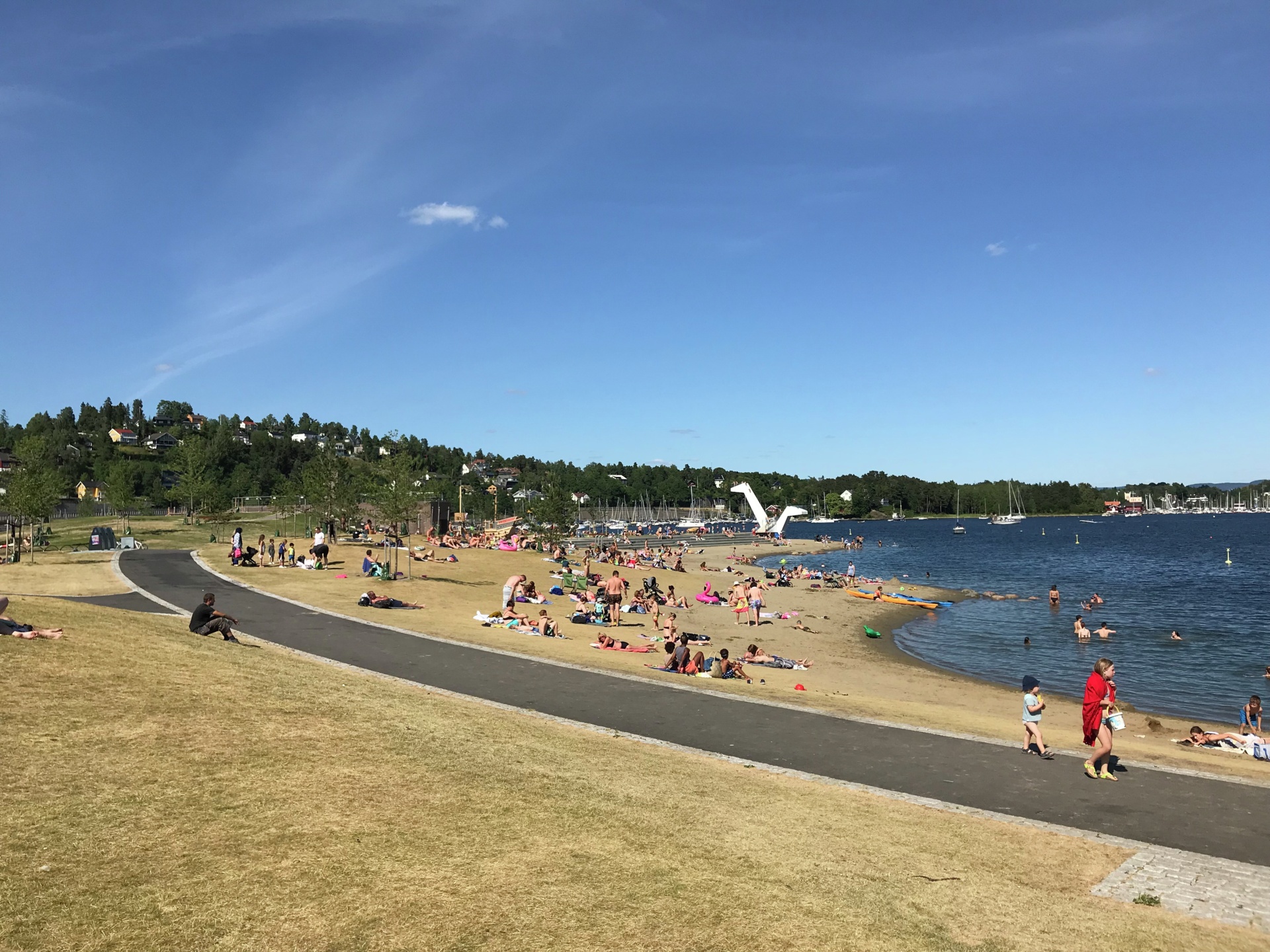 Bilde av Kadettangen sommer