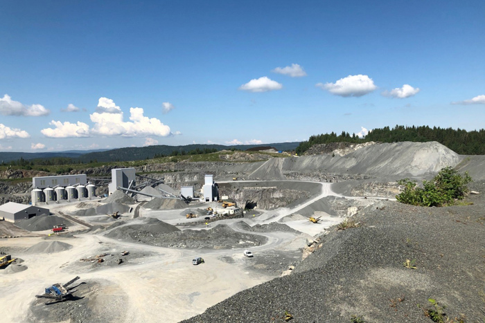 Steinskog