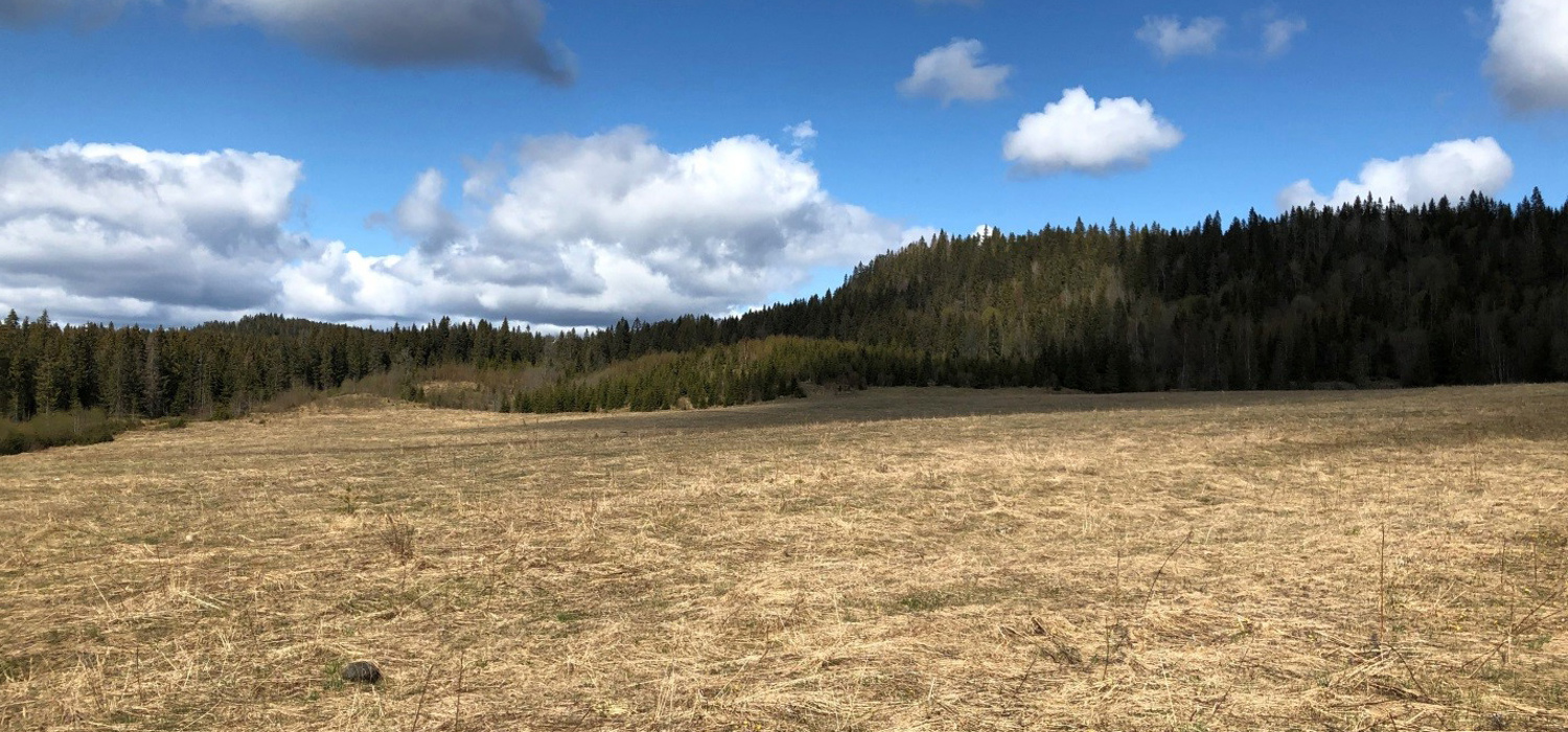Avtjerna