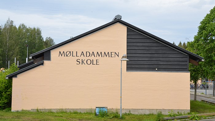 Mølladammen skole 
