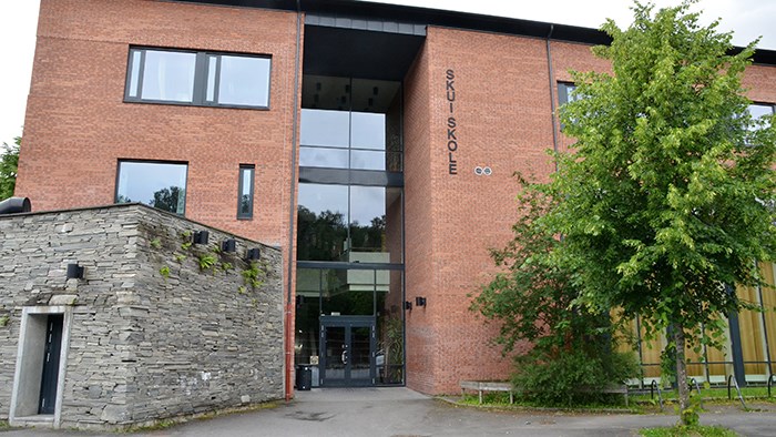 Skui skole
